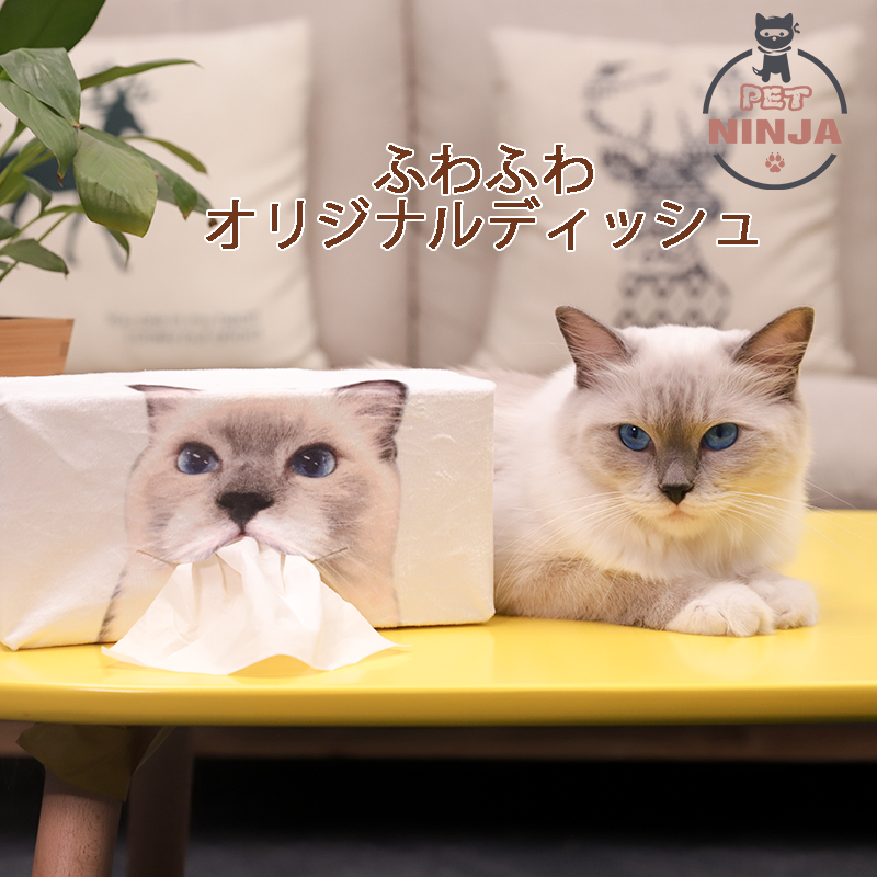 人´ з`*)♪ オリジナルティッシュ めちゃくちゃ面白い 人顔可 – Pet