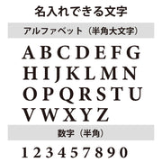 【名入れ対応】【キッズサイズ】遊び心いっぱいのパロディTシャツ おもしろパロディTシャツ 「NEGI」 ジョーク/スポーツ/メンズ/レディース/T-shirts/サイズ90～150cm