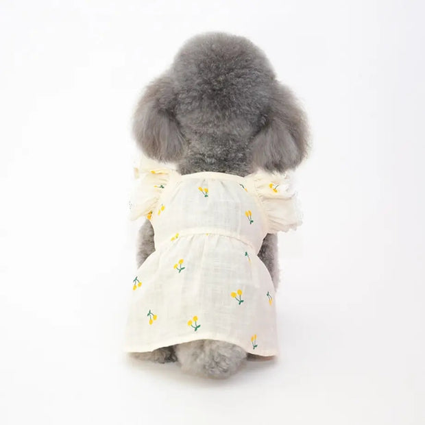 🌸春夏新作ドッグウェア🌸  春夏を先取りしたお洋服をゲット🐕ペット服（小型犬/中型犬/大型犬）