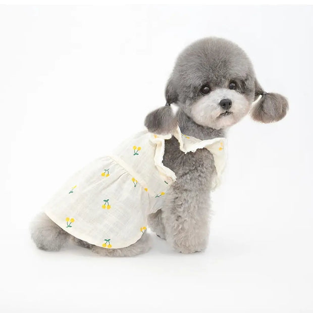 🌸春夏新作ドッグウェア🌸  春夏を先取りしたお洋服をゲット🐕ペット服（小型犬/中型犬/大型犬）